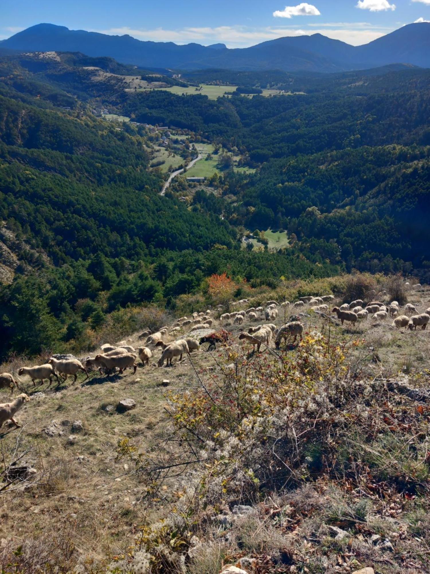 Gite La Mountagna Peyroules ภายนอก รูปภาพ